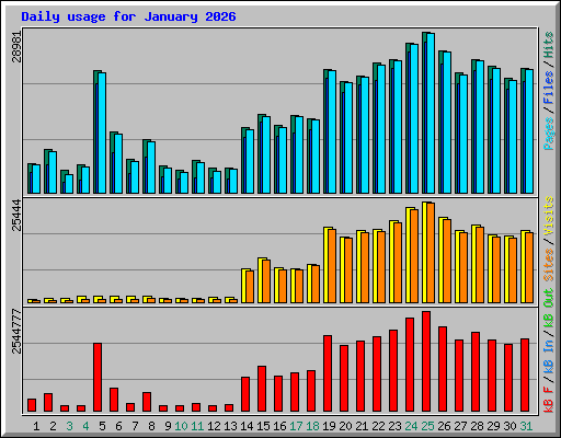 Daily usage for January 2026