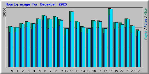 Hourly usage for December 2025