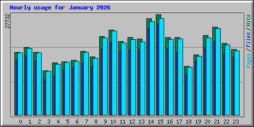 Hourly usage for January 2026