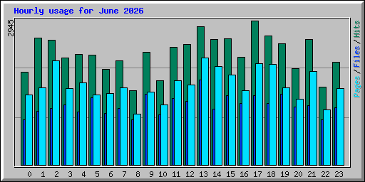 Hourly usage for June 2026