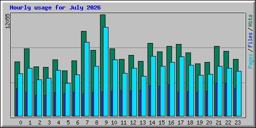Hourly usage for July 2026